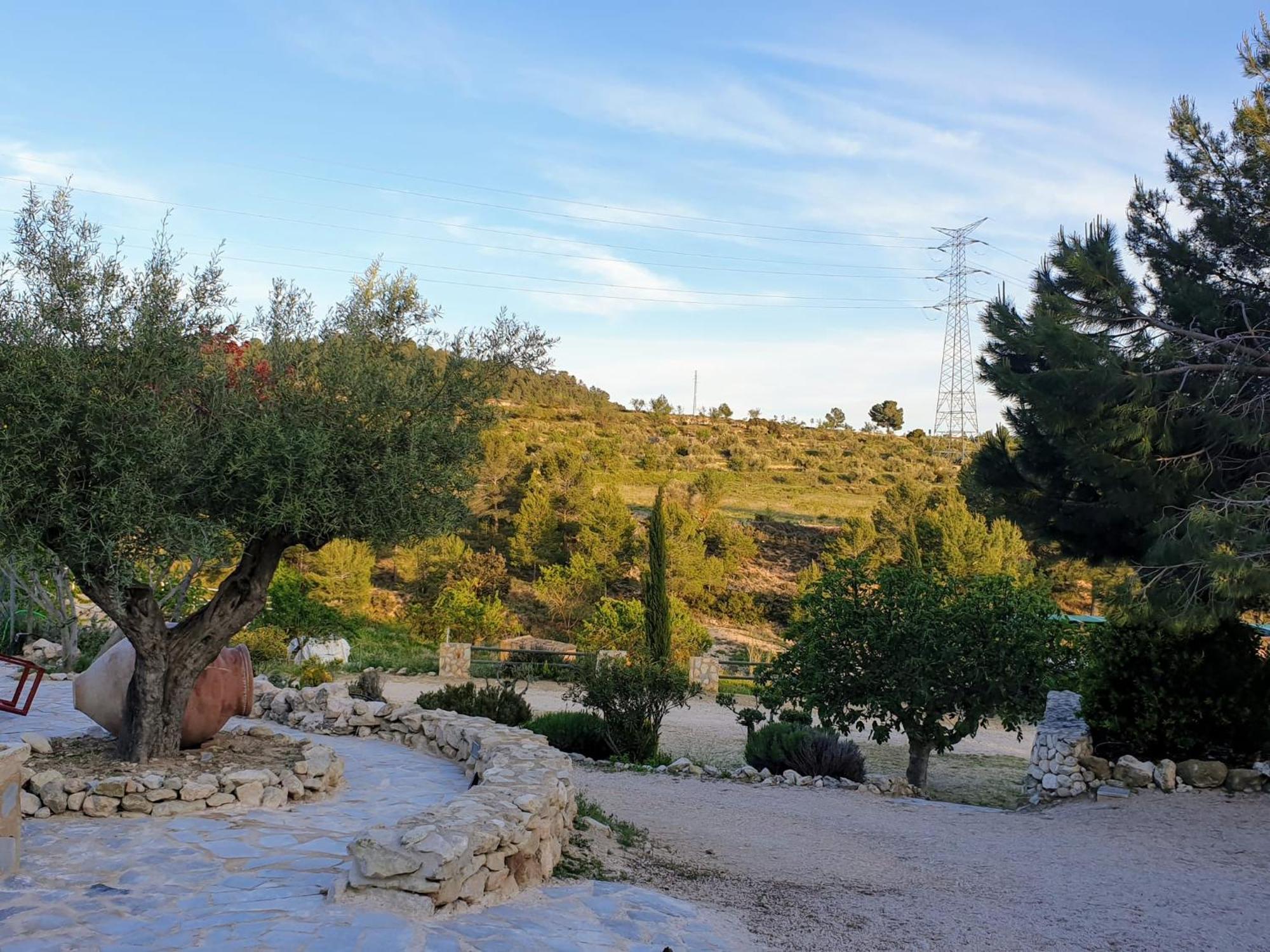 Complejo Rural Las Lomas De Biar Bagian luar foto