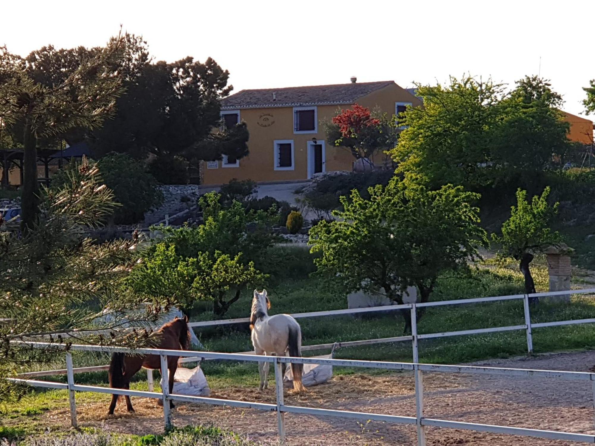 Complejo Rural Las Lomas De Biar Bagian luar foto